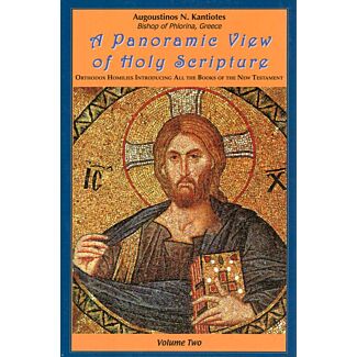 A Panoramic View of Holy Scripture, Volume Two: Orthodox Homilies Introducing All the Books of the New Testament