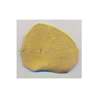 Small flat Antiminsion sponge