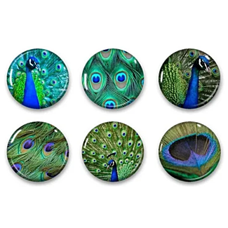 Small Peacock Themed Magnets - Various Patterns