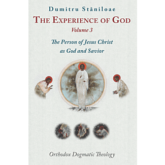 The Experience of God: The Person of Jesus Christ as God and Savior (Vol. 3)