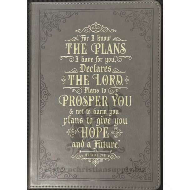 "I Know the Plans" Faux Leather Journal