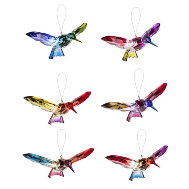 Rainbow Hummingbirds