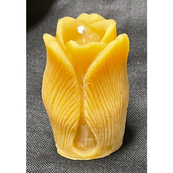 Tulip Candle