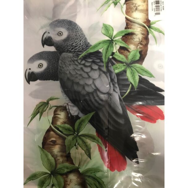 Reusable Bag-African Grey