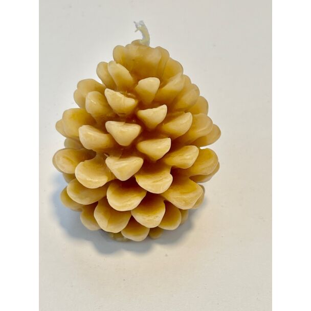 Medium Open Pine Cone Candle