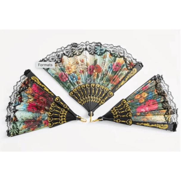 Black Lace-Trimmed Hand-Held Fans