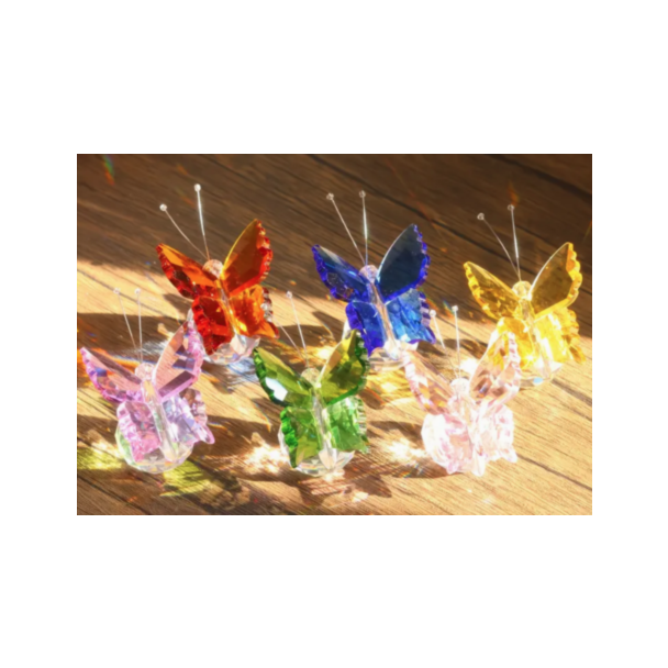 Glass Butterfly